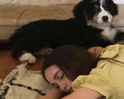 Her family also has a furry member. They named the dog Wally.